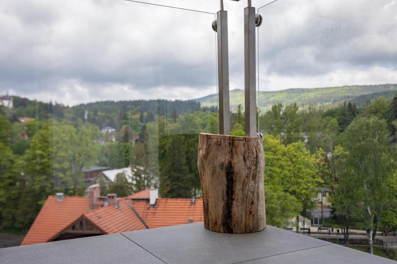 Apartment Krysztal Gorski - Stone Hill Schreiberhau